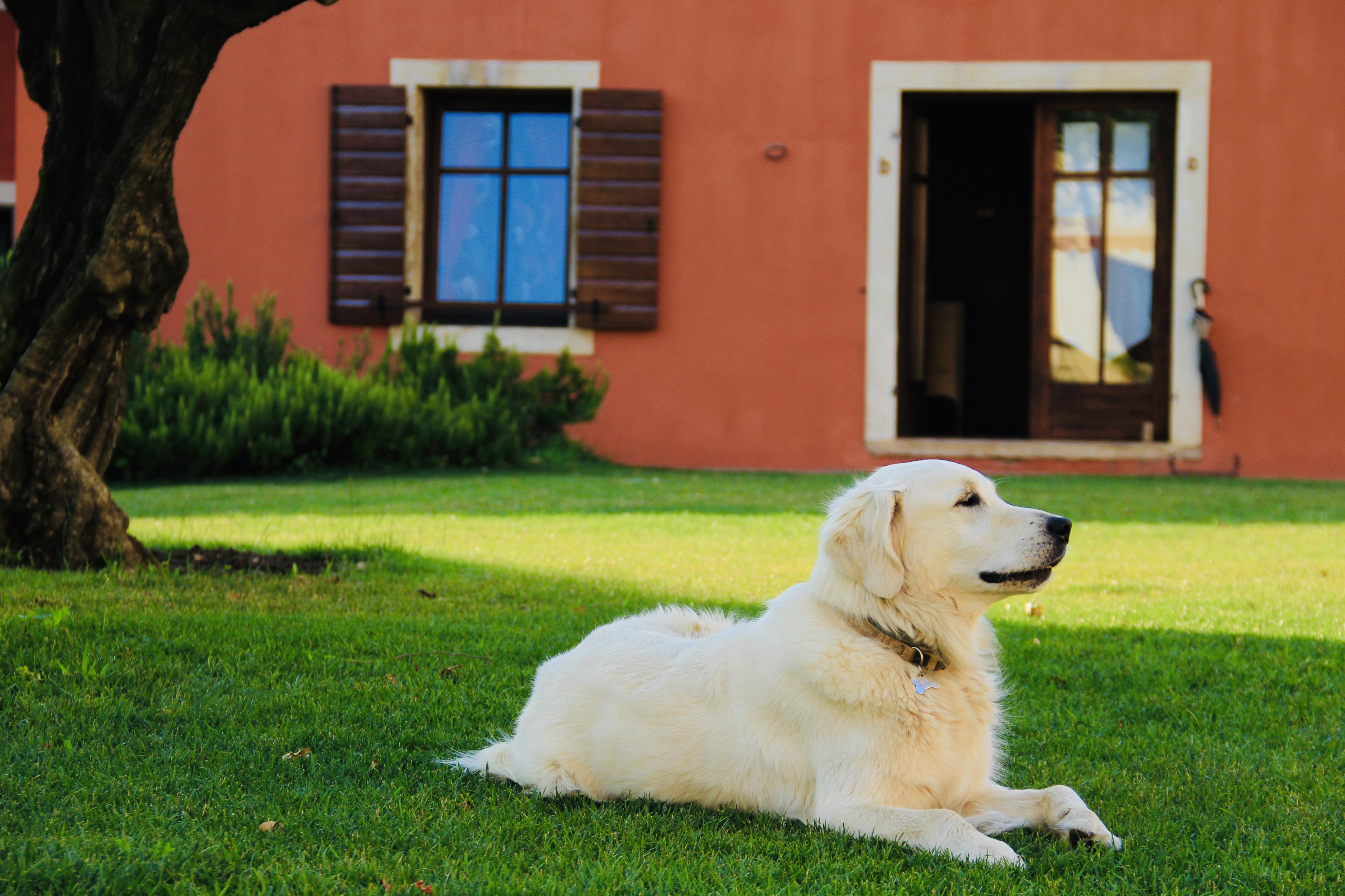 Musella Winery & Relais Guest House San Martino Buon Albergo Eksteriør bilde