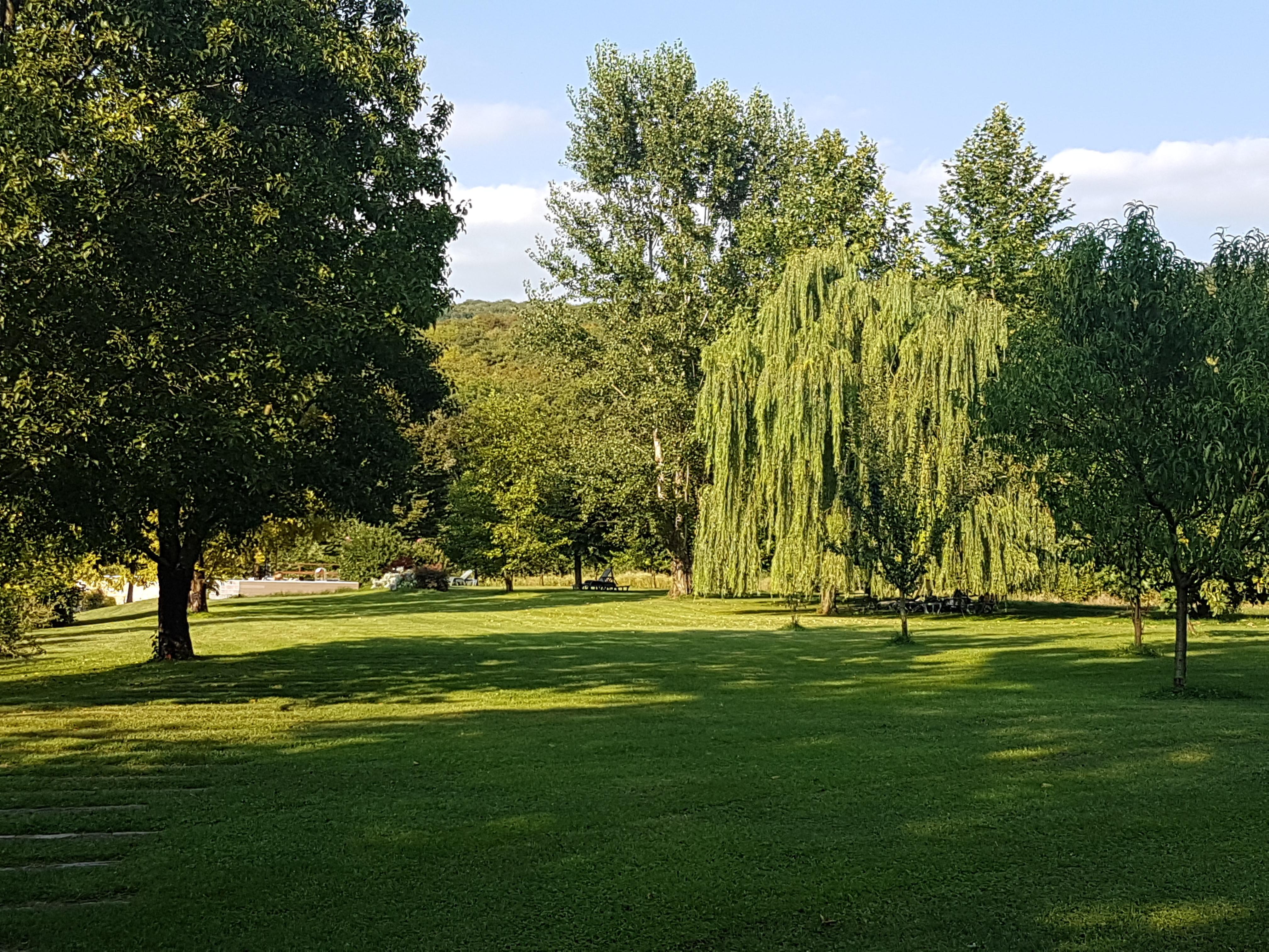 Musella Winery & Relais Guest House San Martino Buon Albergo Eksteriør bilde